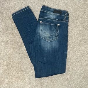 Daytrip Lynx Skinny Jean